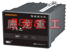 溫度表、數字顯示儀、濕度表