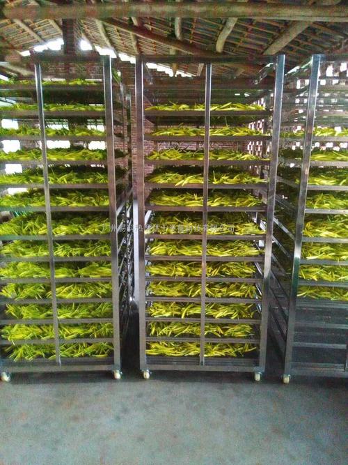 黃花菜烘干機(jī)、黃花菜烘干設(shè)備、黃花菜干燥機(jī)、黃花菜干燥設(shè)備、